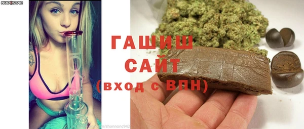 хмурый Бородино