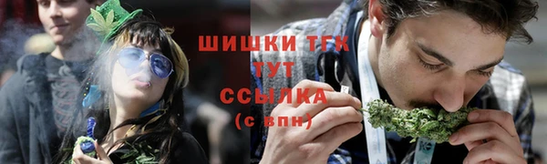 хмурый Бородино