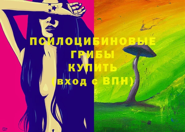 хмурый Бородино