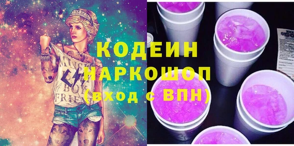 хмурый Бородино