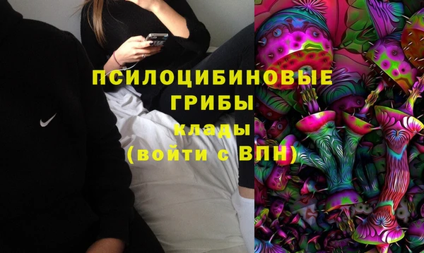 хмурый Бородино